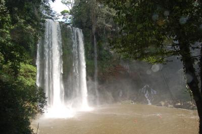 Nähe Palenque - Mexiko 25.03.2008