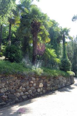 (Südtirol) 26.06.2007